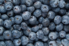 Image fresh blueberries