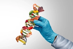 DNA made of food DNA made of food