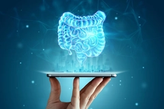 Image Diagram of a human digestive system