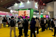 Image The Ingredion booth at Fi Asia Indonesia 2026.