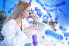 Image Female scientist examines bacteria through a microscope in a laboratory