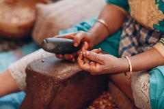 Image woman's hands as she harvests argan oil