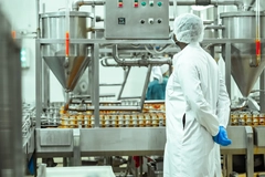 food inspector looking at canned fish packaging in factory