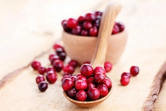 Fresh cranberries in a bowl