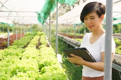 woman with short hair with tablet inside vegetable farm