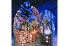 Image Image