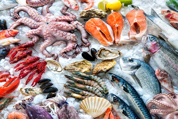 Image Fish Squid