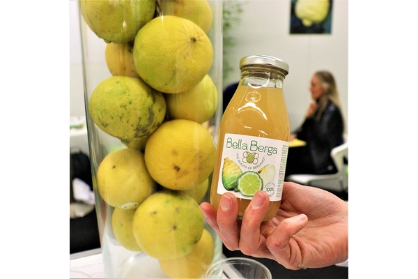 Hand holding a bottle of Bella Berga bergamot juice beside fresh bergamot fruits