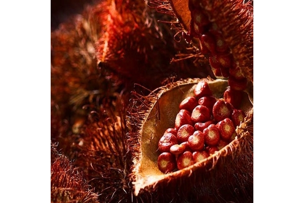 Image Image