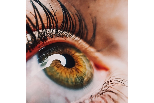 Image close up of eye