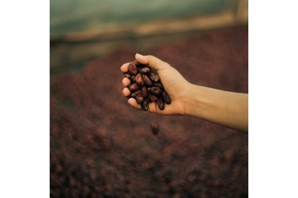 Image Image