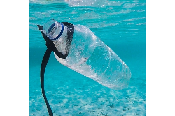 Image Image