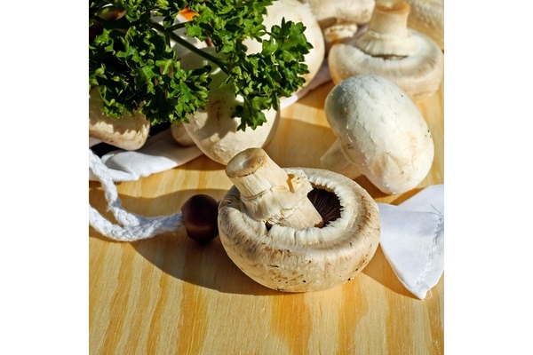Image Image