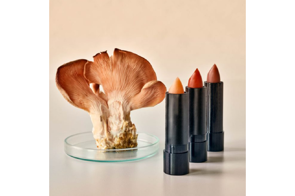 Three lipstick tubes in shades of red, pink, and nude, neatly arranged on a table next to a mushroom.