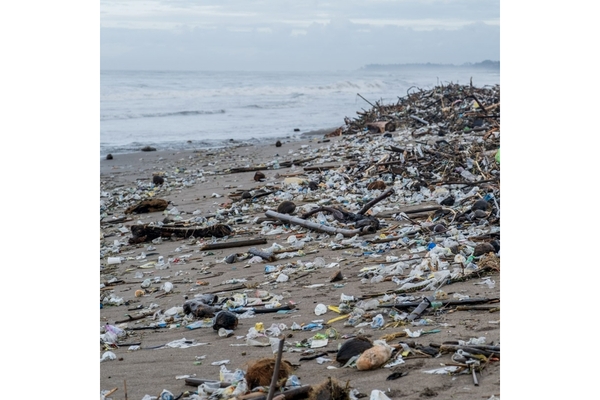 Image Beach littered with plastic bottles causing water pollution