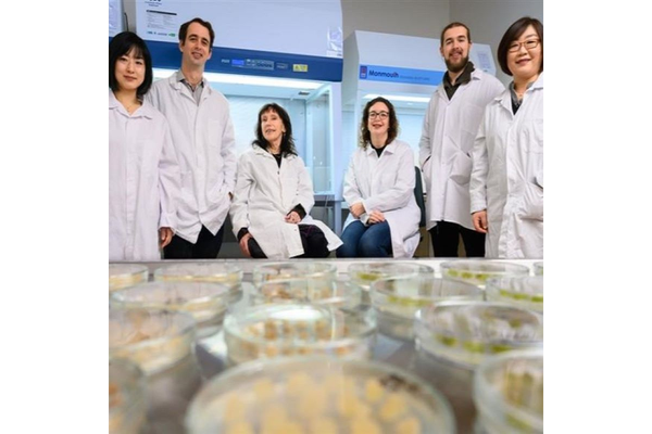 Scientists in a lab.