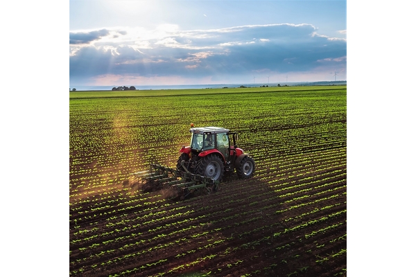 Image A tractor harvests crops in a field.