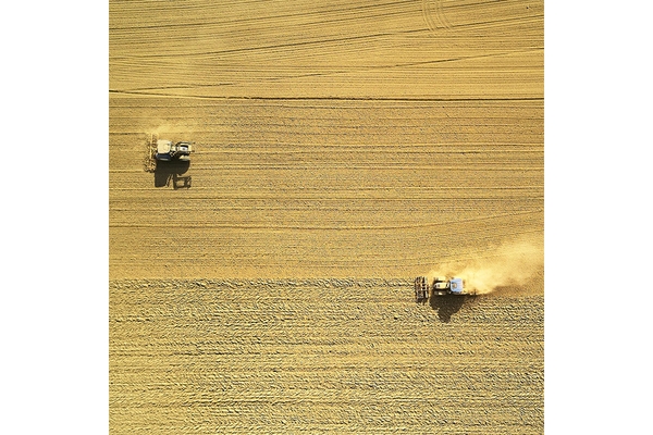 Image Tractors on crop farm.