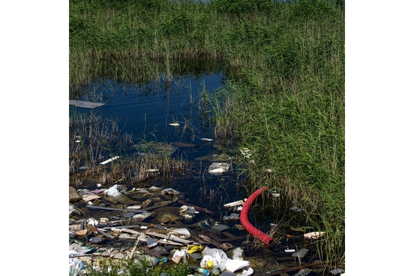A collection of litter in a swamp.