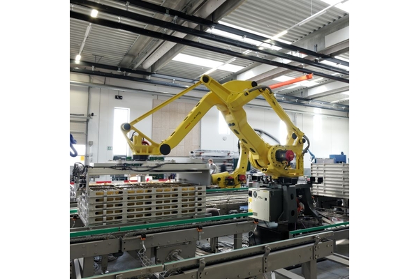 Image Palletizing robot with pallets.
