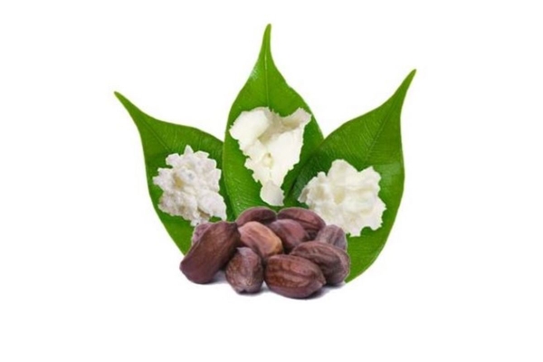 Image Jojoba pods in front of three leaves on top of which lie jojoba esters.