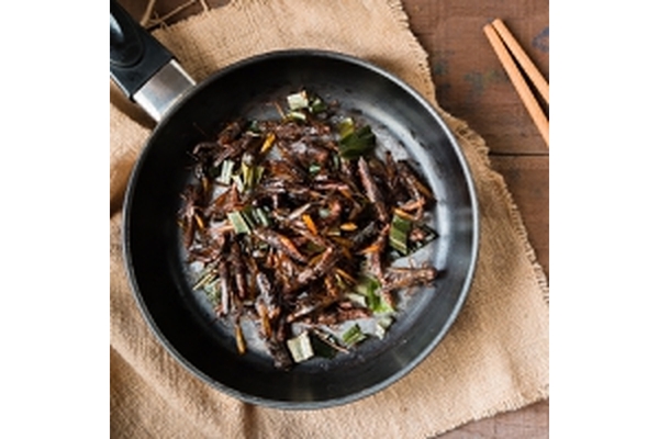Image Insects in cooking pan.