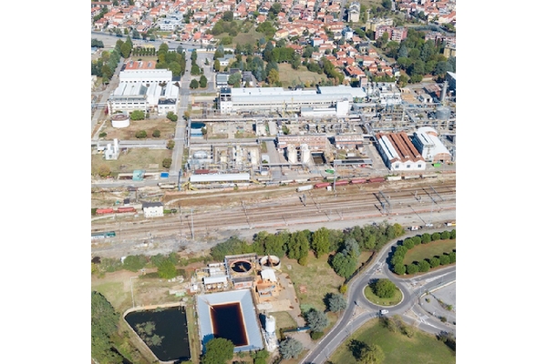 Image Italy plant.
