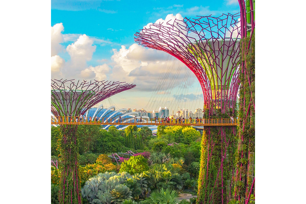 Image An image depicting Singapore's skyline, trees and buildings.