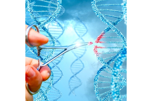 Image A person is editing gene.