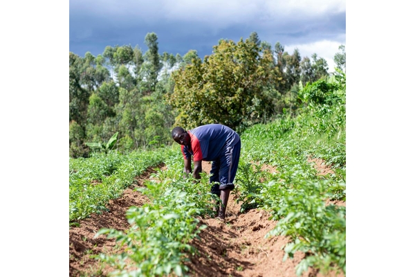 African farmer tending to crops.