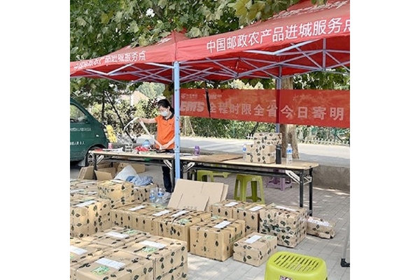 Image A lady is standing at a post stand with packages on the floor.