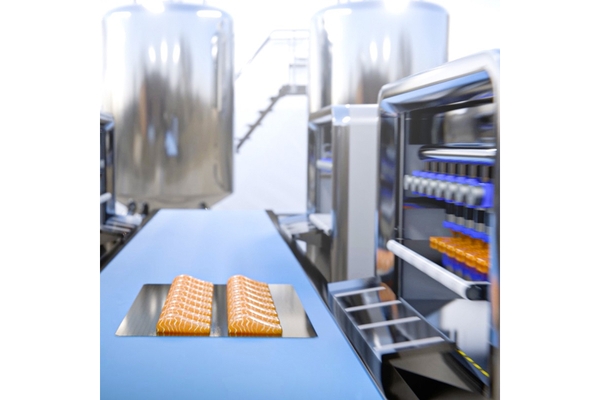 3D printed fish on a conveyor belt.
