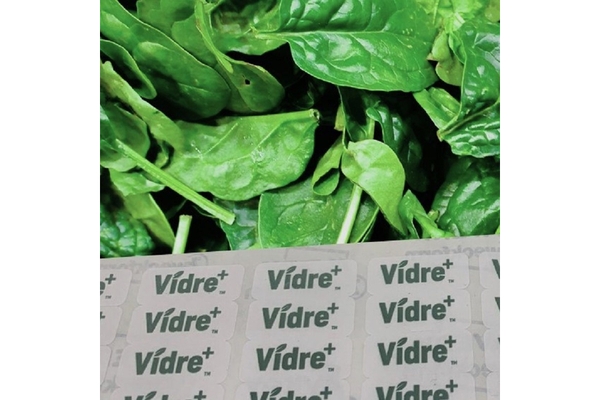 Image The stickers are lined up in front of a bunch of spinach.