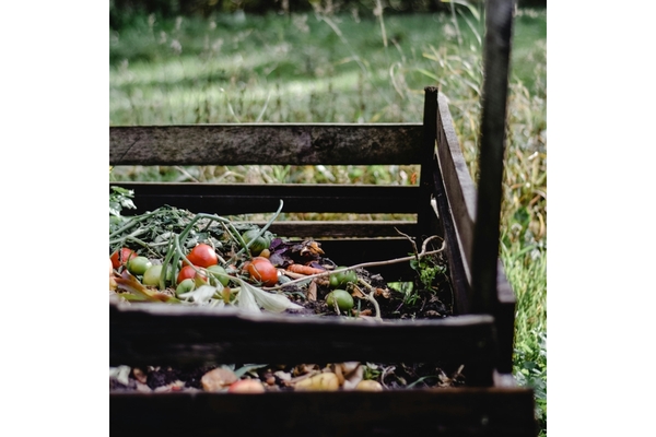 Image bin with compostable food waste