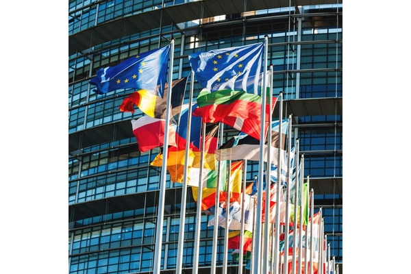 Image EU Parliament SNE manifesto