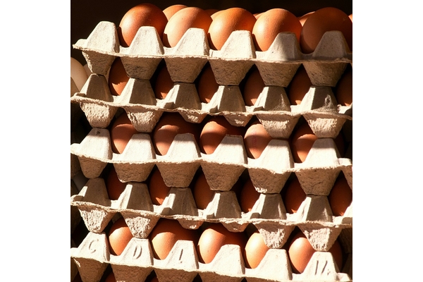 Image Cartons of eggs are placed one on top of the other.