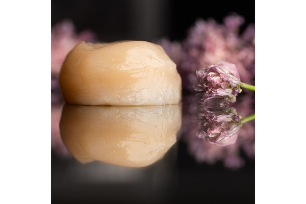 Image A piece of seafood substitute made from fermentation kept next to a pink flower.