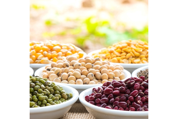 Beans and legumes in bowls
