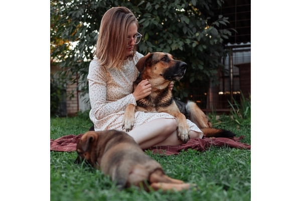 Image A woman and her dog companions
