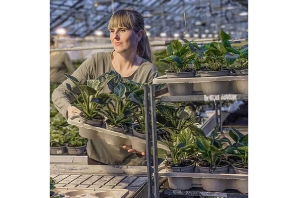 Woman in flower shop holding plants in tray.