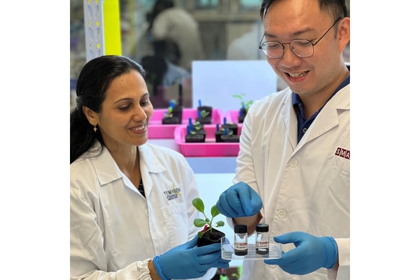Image Two SMART researchers working on the nanosensor, holding bottles with the different sensors.