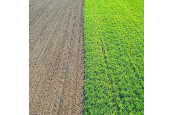 Image Regenerative agriculture.