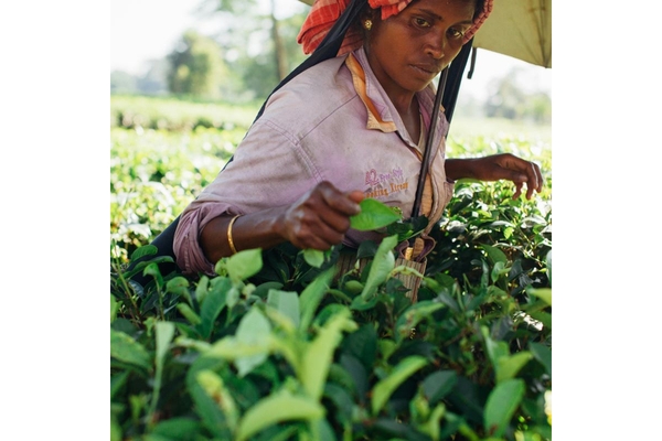 Nutrition security women gender