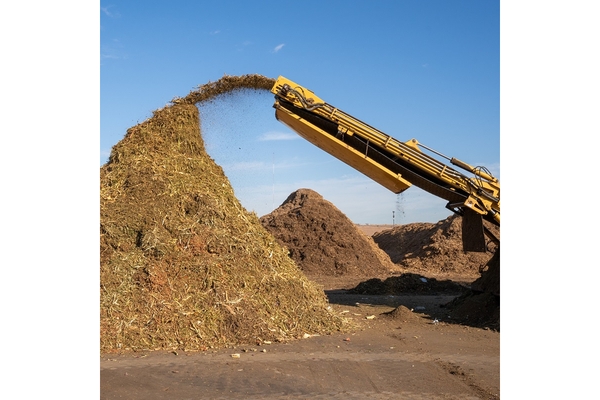 Image Mountain of food waste