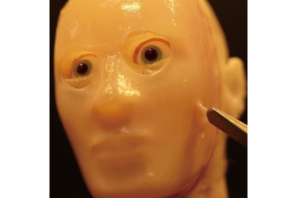 Humanoid robot with skin layers
