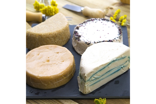 Image four different types of vegan cheese.