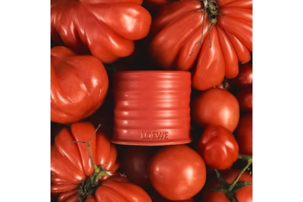 Loewe tomato candle