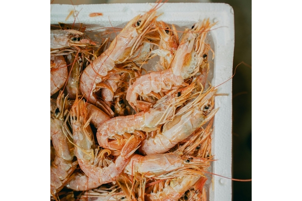 Image A box of shrimp.