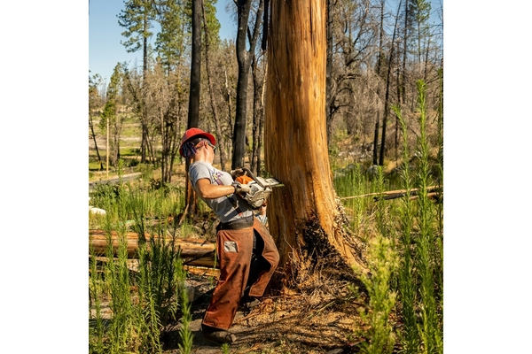 a man cutting a tree.