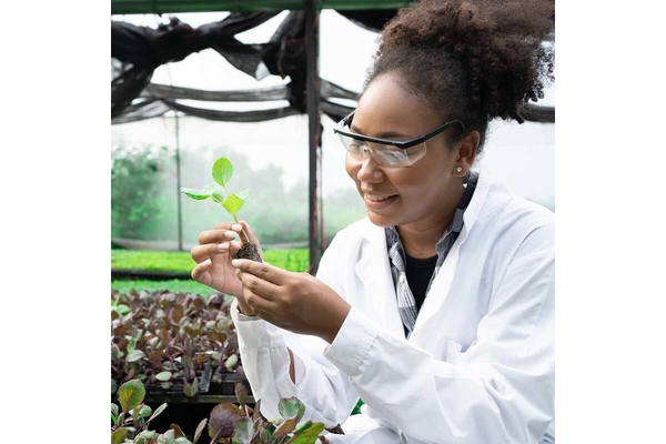 A scientist.
